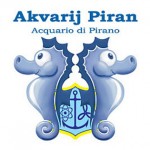 Akvarij Piran