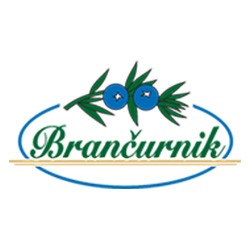 Restaurant Brančurnik