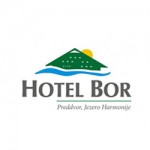 Hotel Bor and Grad Hrib (The Hill Castle)