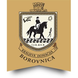 Kraljeva domačija Borovnica